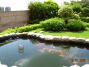 �ؗo�@�e��-���^�~��