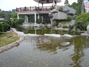 �|���e�^-���^ˮ��