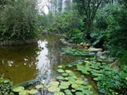 �I�����-���^ˮ��