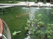 �P�������@-���^�~��