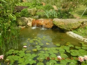 �����\ӛ-�o�ޘO�в�ˎ�@-�˹���