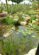 �����\ӛ-�o�ޘO�в�ˎ�@-�˹���