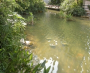 ���h(yu��n)�S�۰�u�����ڣ�-�˹���