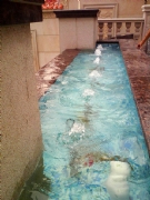 ��.��鯈@�e��-˽��ˮ��Ӿ��