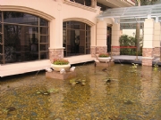 �����³��ۘǲ�-��Ȫˮ��